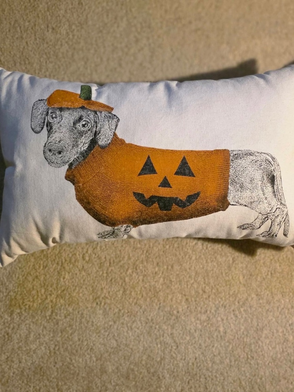 Pillow Dachshud Halloween (NWT)